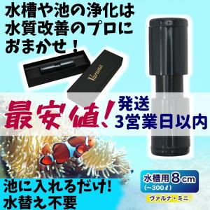 ヴァルナ・ミニ水槽用８ｃｍ 【最安値/短納期/正規店】水質改善 3年間水替えなしで水槽浄化 入れるだけ アクアリウム