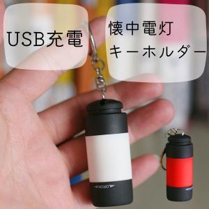 小型 LED 懐中電灯 USB 充電式 強力 キーホルダー ミニ ライト｜varyshop