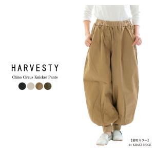 HARVESTY（ハーベスティ） サーカスカーゴパンツ A11908 : varzy