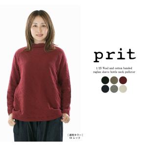 prit（プリット） ミルドウォッシャブル天竺 タートルネックビッグプル