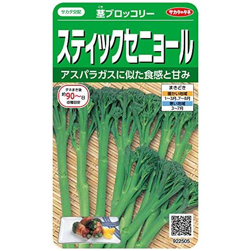 サカタのタネ 実咲野菜2505 スティックセニョール 茎ブロッコリー 00922505