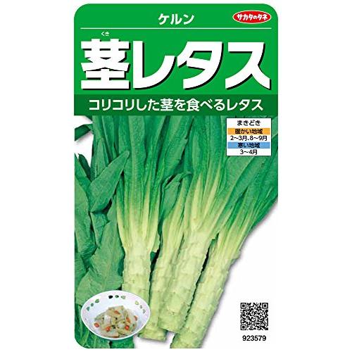 サカタのタネ 実咲野菜3579 茎レタス ケルン 00923579