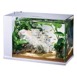 ジェックス GEX ガラス AQUARIUM ラクテリア 水換え簡単水槽 サカナ用 フィルター・LED付き W34×D17.5×H24cmホワイト｜vastforest