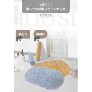 玄関マット 屋内 おしゃれ 室内 50×80c...の詳細画像1
