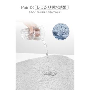玄関マット 屋内 おしゃれ 室内 50×80c...の詳細画像4