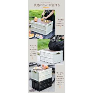 コンテナボックス 大型 屋外 折りたたみ 55...の詳細画像3