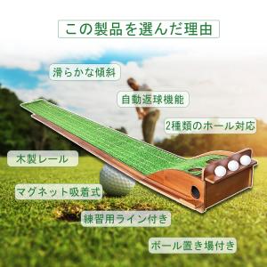 TOPAIM パター練習マット パターマット練...の詳細画像2