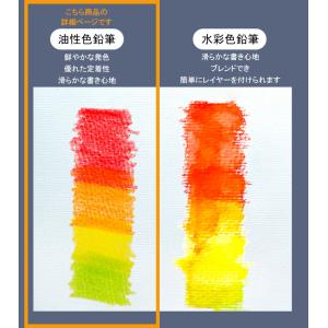 色鉛筆 48色セット 油性 人間工学 高級 4...の詳細画像2