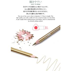 色鉛筆 48色セット 油性 人間工学 高級 4...の詳細画像5