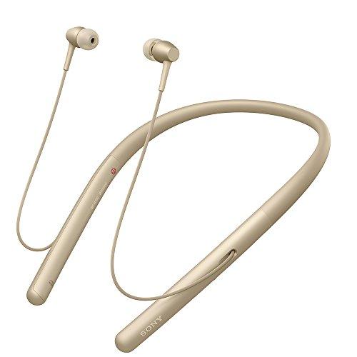 ソニー ワイヤレスイヤホン h.ear in 2 Wireless WI-H700 : Blueto...