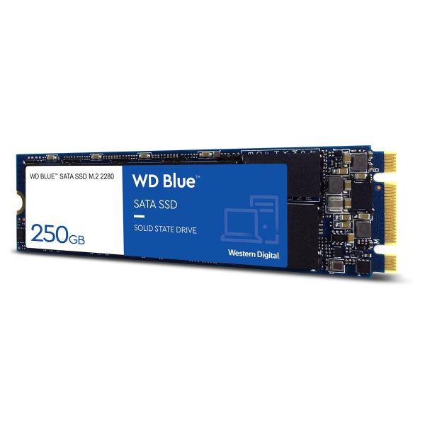 Western Digital ウエスタンデジタル 内蔵SSD 250GB WD Blue PC M...