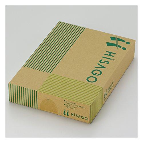 ヒサゴ 伝票 請求書 2面 A4 500枚 GB1119