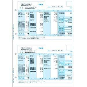給与明細書Z(100枚) 336001Z