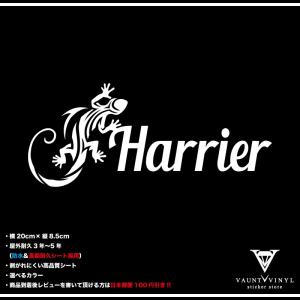 トカゲ トライバル Harrier カッティングステッカー｜vauntvinyl