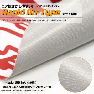 猫がいます 飛び出し注意 シールの詳細画像2