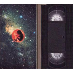 ★VHSビデオ ハウンドドッグ BABY UN...の詳細画像2