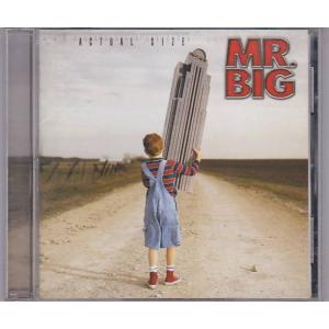 ★CD アクチュアル・サイズ 国内盤ボーナストラック収録 全13曲収録 *MR.BIG｜vavjm90820