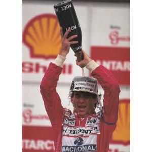 ★DVD F1 セナに捧ぐ 伝説になった音速の...の詳細画像2