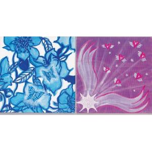 ☆CD PORNO GRAFFITTI BEST RED'S+BLUE'S ポルノグラフィティ ベスト盤