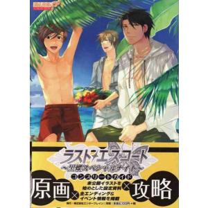 ☆DS攻略本 おいでよ どうぶつの森 ザ・コンプリートガイド : いちさん