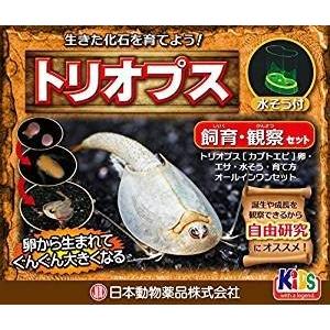 トリオプス飼育観察セット（旧エビ伝説）
