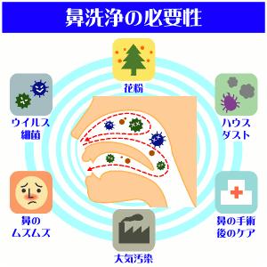 送料無料 サーレS 1.5g×50包入×6個セ...の詳細画像2