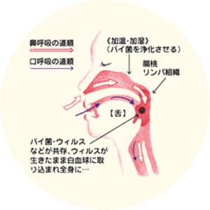 ポスト投函 口閉じテープ いびきにネルネル21...の詳細画像1
