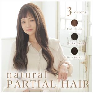 ウィッグ カツラ 女性 ブラウン ウィッグ 自然 ミディアム 女性用 ミセス かつら ブラウン 安い
