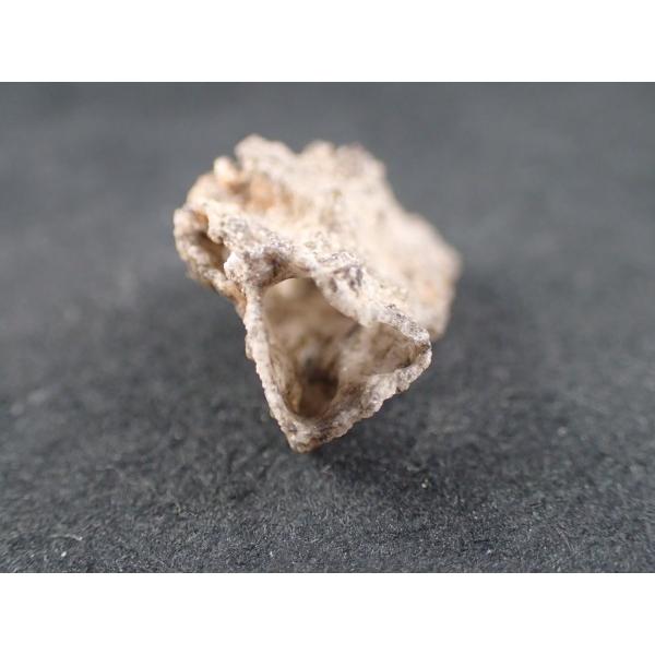 最高品質雷管石/フルグライト（Fulgurite) リビアサハラ砂漠北東部産　寸法　：　24.4X1...