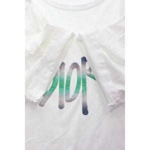 ディオール Dior × SHAWN STUS...の詳細画像5