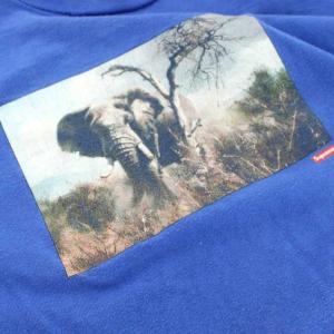 シュプリーム SUPREME Safari T...の詳細画像5