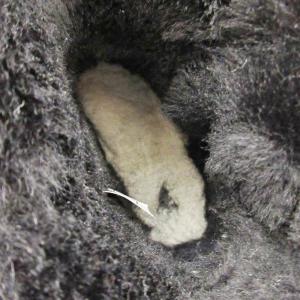アグ オーストラリア UGG australi...の詳細画像4