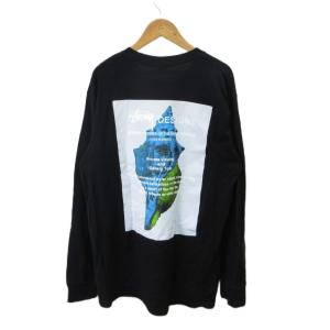 ステューシー STUSSY Tシャツ M 黒 ブ...の商品画像