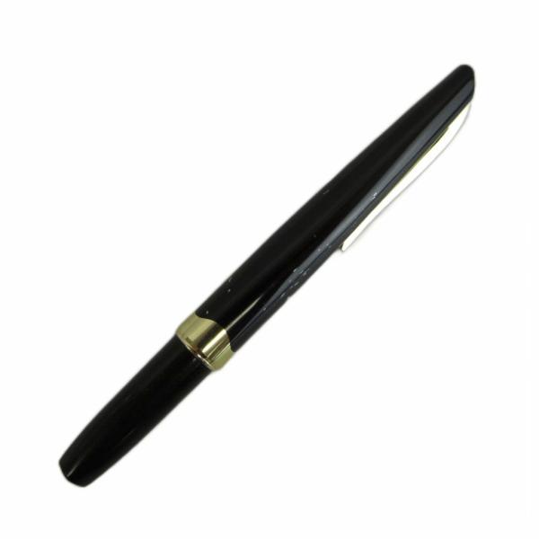 プラチナ PLATINUM 万年筆 文房具 筆記用具 ペン先18K ショート ロゴ 黒 ブラック ゴ...