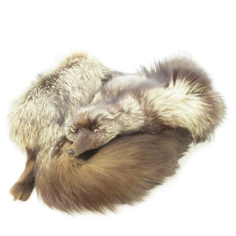 ノーブランド ファーマフラー ファーショール 顔付き 毛皮 尻尾付き 和装 茶 ブラウン /CK23...