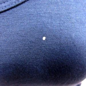 カルソン kulson ニット カットソー U...の詳細画像4