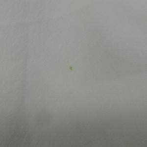 レリアン Leilian シャツ ブラウス 七...の詳細画像5