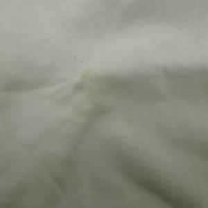Tシャツ カットソー M オフホワイト 半袖 ...の詳細画像2