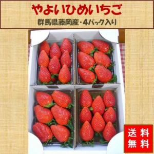 やよいひめ いちご 送料無料 群馬県産 4パック 農家直送 産地直送