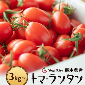 送料無料】ミニトマト \トマランタン2kg/ 高評価 熊本県産 玉名 甘い