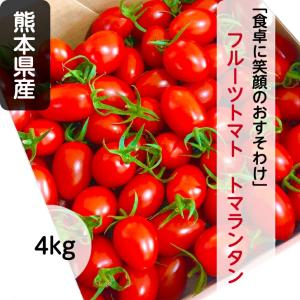 【送料無料】ミニトマト \トマランタン4kg/ ...の商品画像
