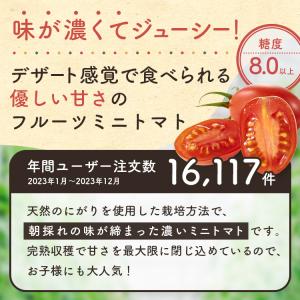 【送料無料】ミニトマト \トマランタン4kg/...の詳細画像1