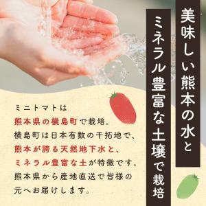 【送料無料】ミニトマト \トマランタン4kg/...の詳細画像2