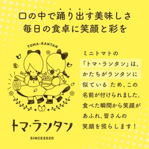 【送料無料】ミニトマト \トマランタン4kg/...の詳細画像3