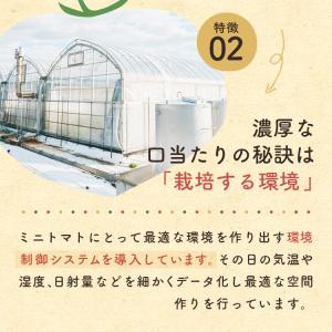 【送料無料】ミニトマト \トマランタン4kg/...の詳細画像5