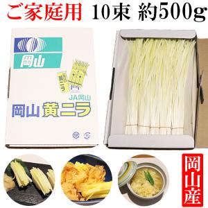 岡山県産 黄ニラ 約500g (約50g×10束） ご家庭用 珍しい 野菜 高級食材 送料無料｜vegefrusmart