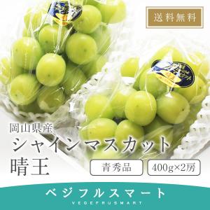 シャインマスカット 贈答用 晴王 岡山県産 青秀品 400g×2房 大粒 送料無料｜vegefrusmart