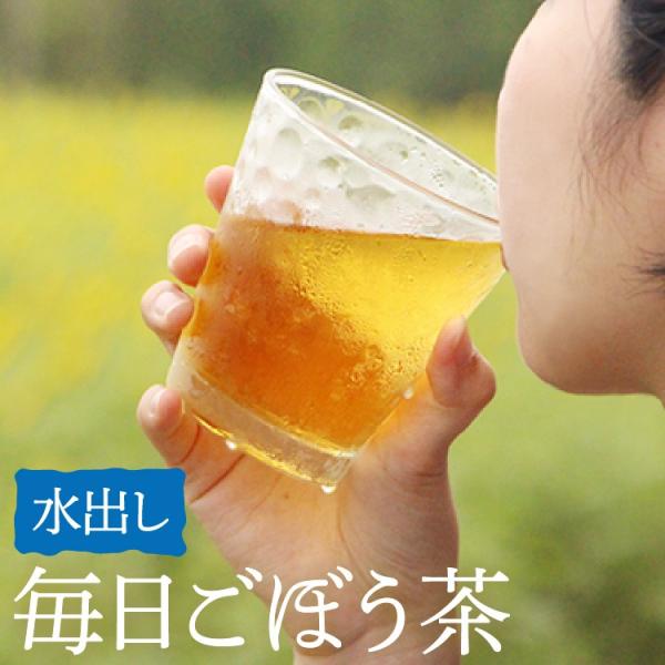 毎日ごぼう茶(水出し) ごぼう茶 九州産 国産 ごぼう イヌリン 食物繊維 ティーバッグ
