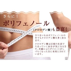 さつまいも茶 70g 鹿児島県産 1000円ポ...の詳細画像4