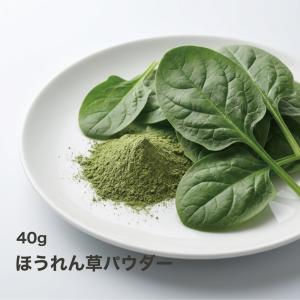 ほうれん草パウダー　無添加　野菜パウダー 時短 鹿児島県産ほうれん草使用 40g 生パスタやシチューお料理 ハロウィン